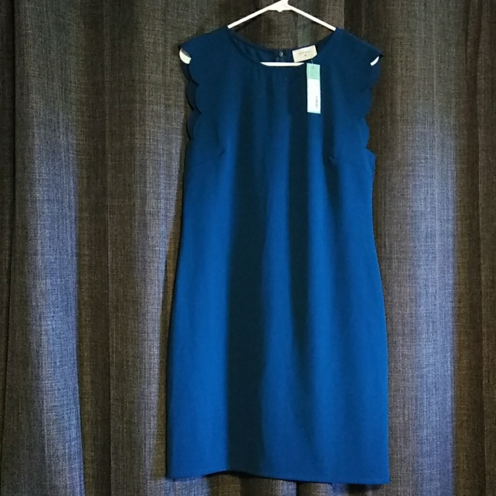 Fitted Dress